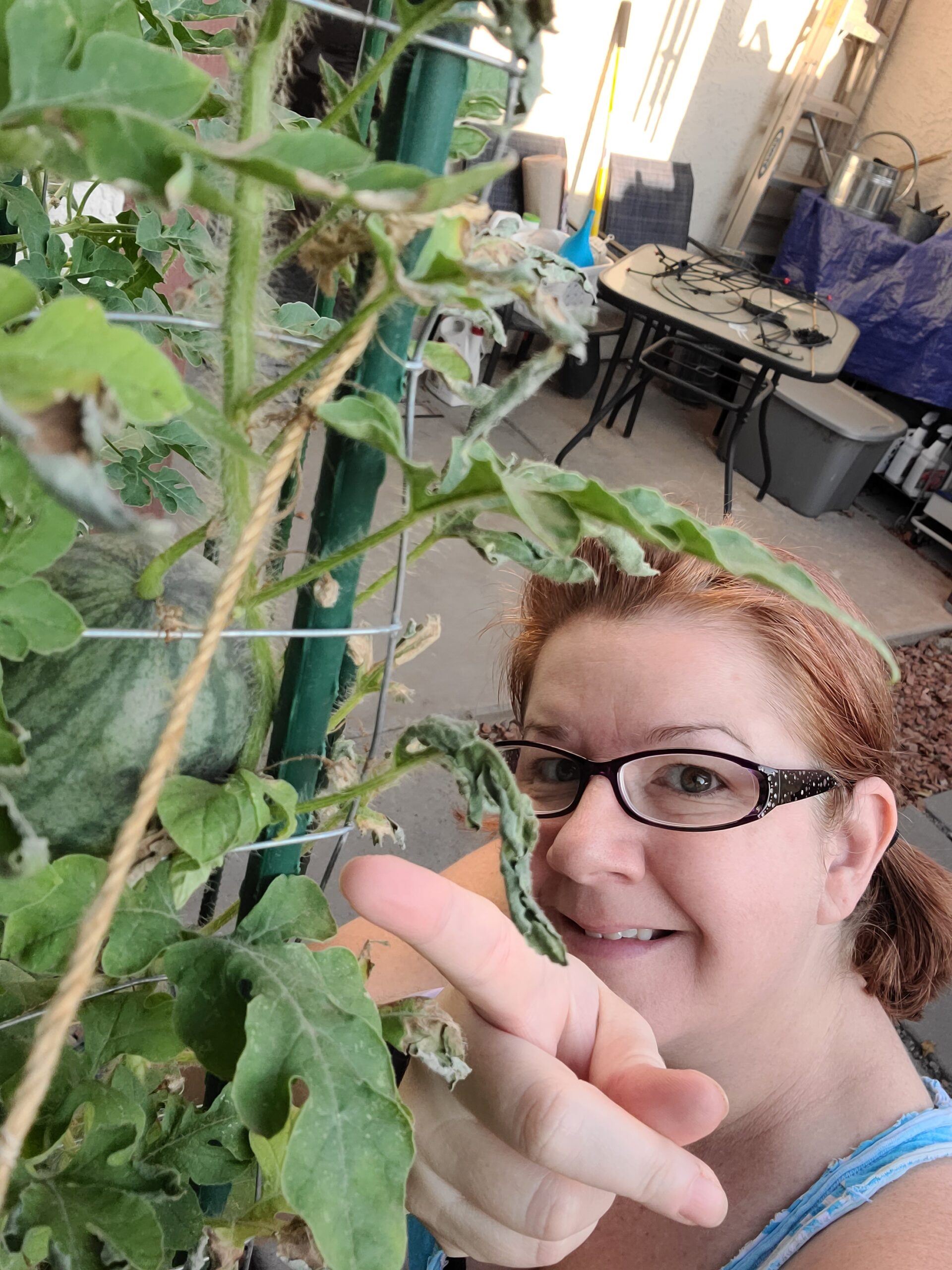Sugar baby me and a sugar baby personal watermelon I grew